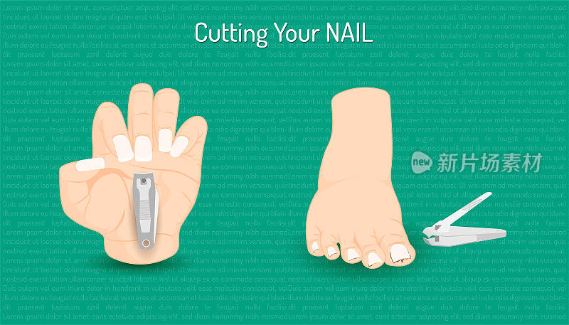 cutting hand and foot nail. body part beautiful color. vector illustration eps10